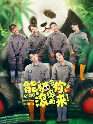 熊猫与你，滚滚而来！海报